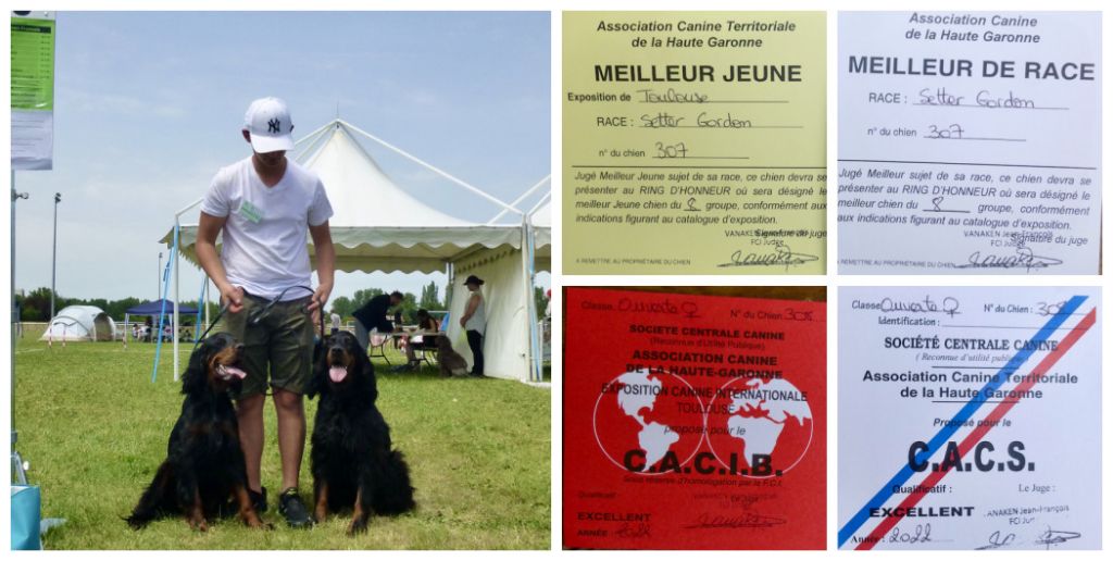 Des Pralines D'Aubejoux - Souinet BOB à Toulouse,  Lella CACS CACIB