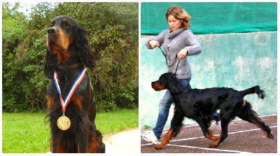 Des Pralines D'Aubejoux - CACS et BOB à Martigues pour le beau Gibalder 