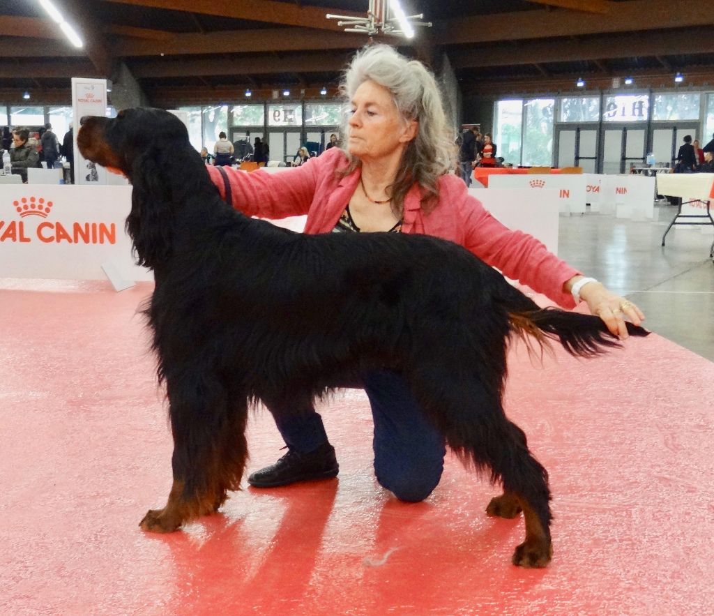 Des Pralines D'Aubejoux - Janvier Expo Perpignan 1er RCAC RCACIB :  Jaizon