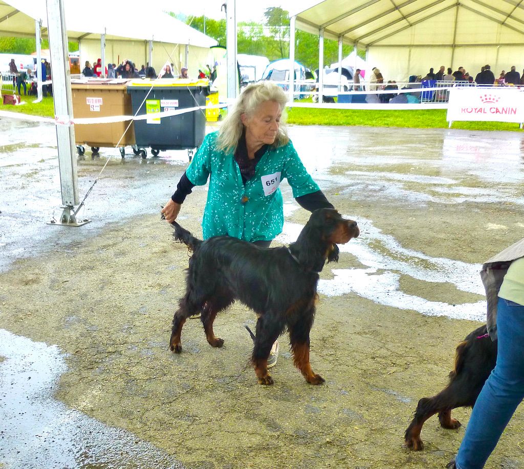 Des Pralines D'Aubejoux - CACS CACIB en Cl Travail à Auch pour Souinet ce 23