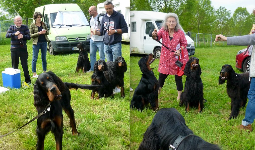 Des Pralines D'Aubejoux - Exposition Auch 1er 05 Lella CACS Souinet Meilleure Jeune