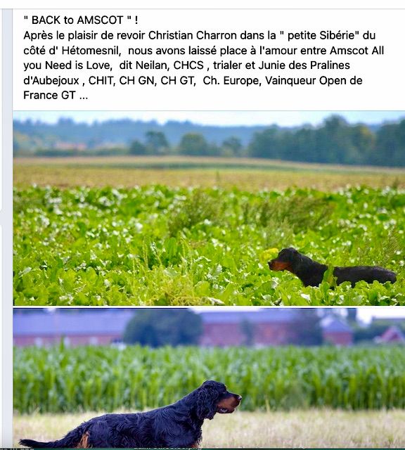 Des Pralines D'Aubejoux - Mariage de la CH Junie en Picardie