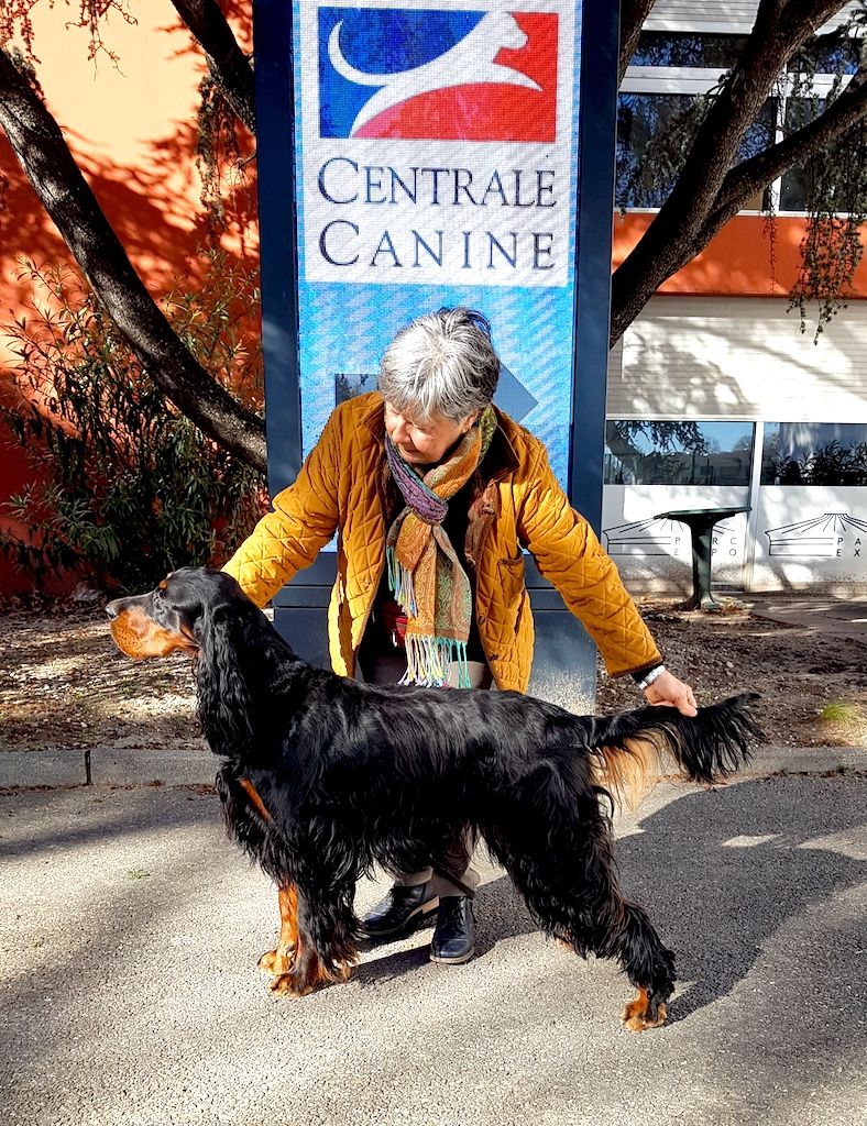 Des Pralines D'Aubejoux - Shannah CACS et CACIB à Avignon ce 26 novembre 23