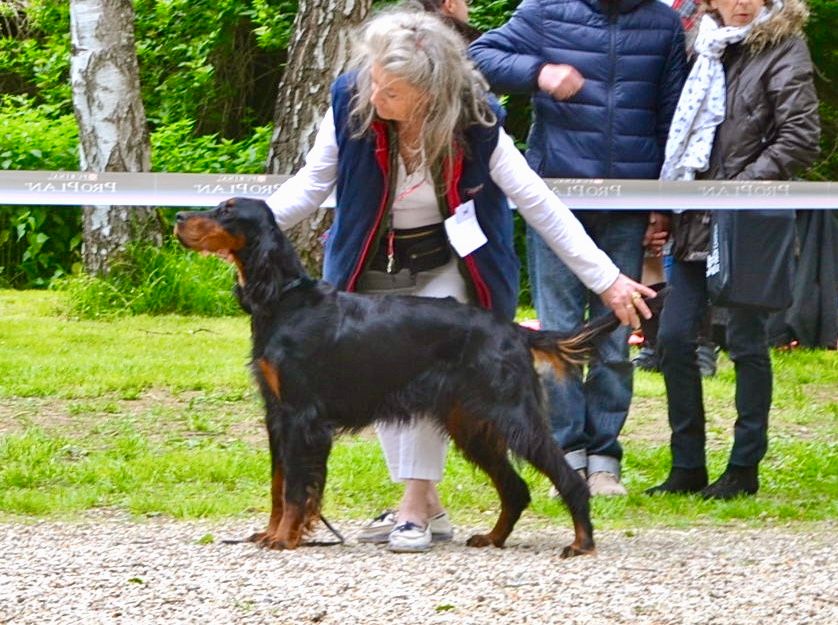 Des Pralines D'Aubejoux - Junie une championne hors pair 