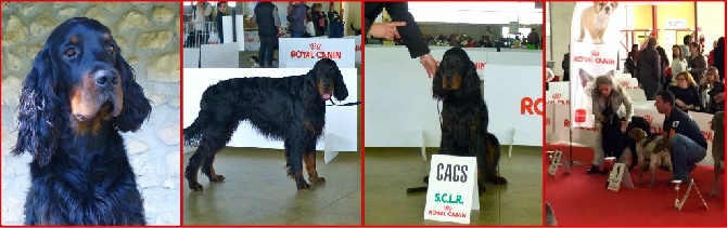 Des Pralines D'Aubejoux - Iego : Alès : CACS BOB et 2 nd Groupe 7 en intermédiaire...