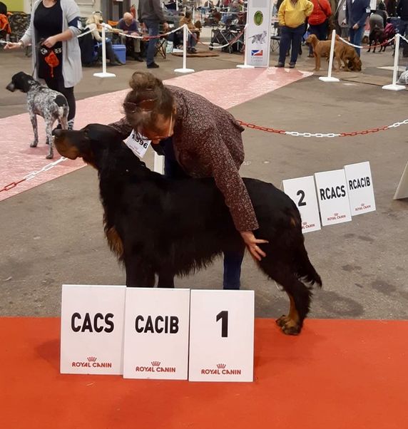 Des Pralines D'Aubejoux - Troyes CACS CACIB pour Ol Black à Mme Stradella