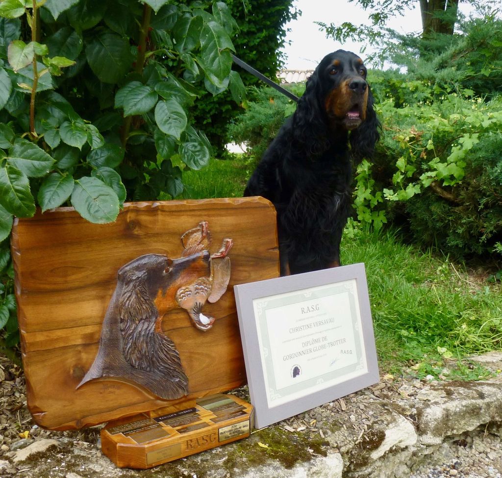 Des Pralines D'Aubejoux - Trophée chien le plus complet 2019 pour Linel