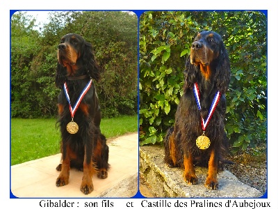 Des Pralines D'Aubejoux - Expo Avignon CACS IB BOB pour EZIR  IB pourCastille 