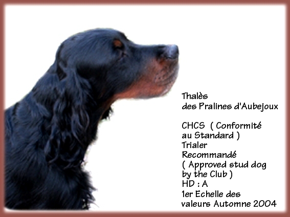 TR. CH. Thalès chcs recommandé4 dys. a Des Pralines D'Aubejoux