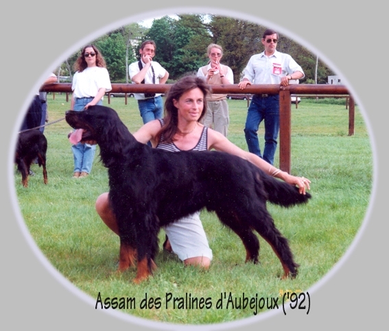 CH. CHIB Assam Des Pralines D'Aubejoux