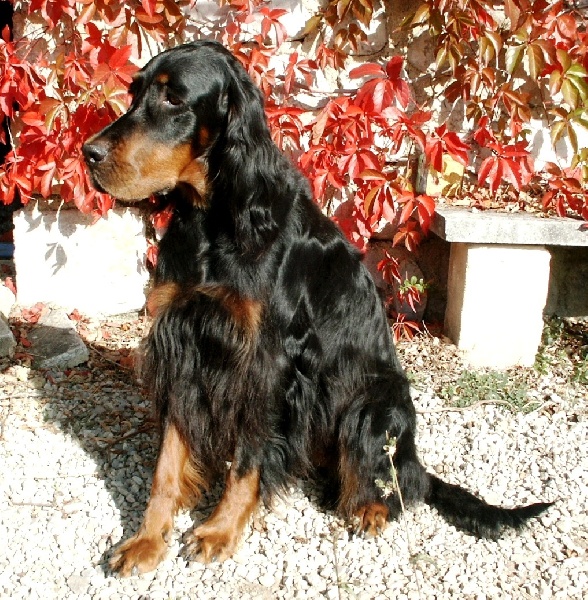 Aymée dys. a Des Pralines D'Aubejoux