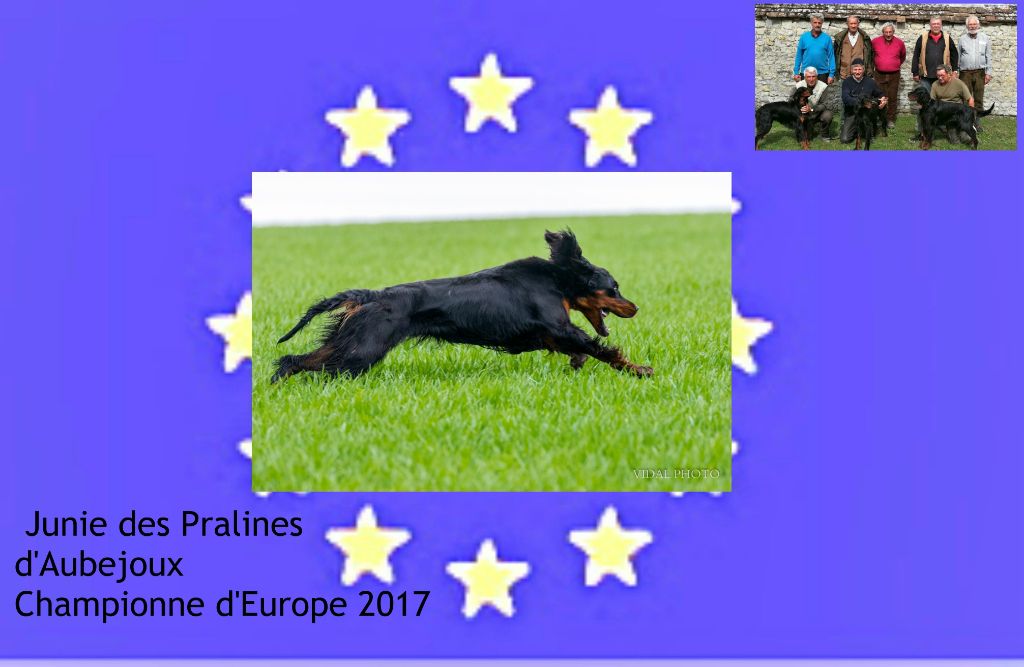 TR. CH. Junie recommandé 4 dysplasie a Des Pralines D'Aubejoux