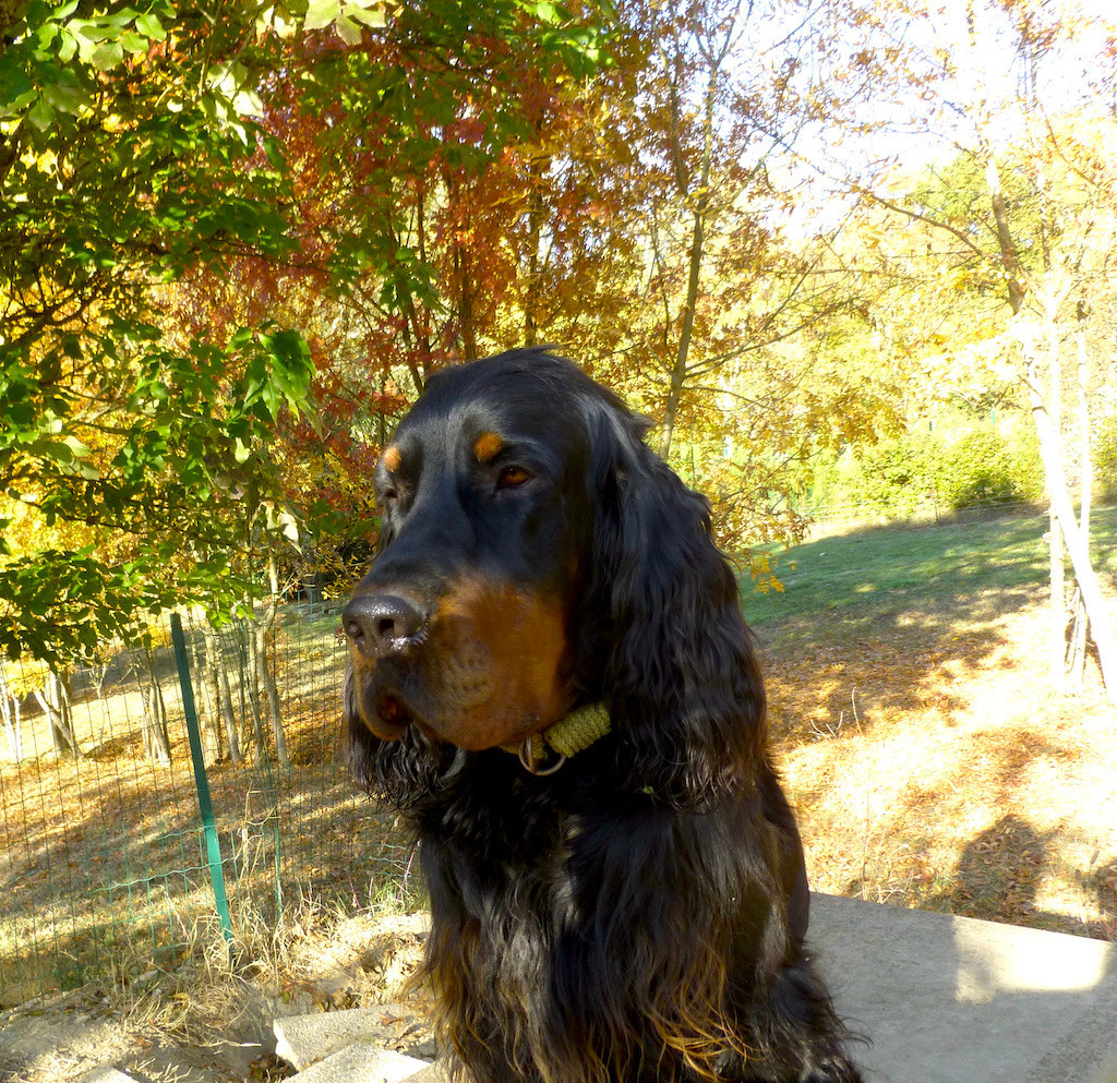 Villy des Pralines d' Aubejoux Des Pralines D'Aubejoux