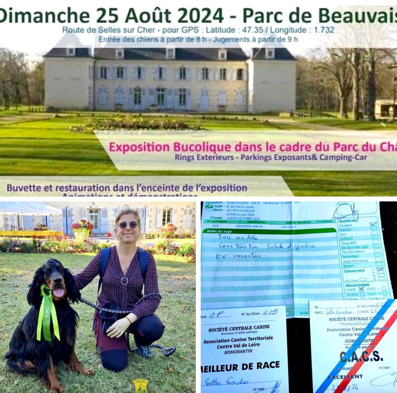 Des Pralines D'Aubejoux - CACS et BOB pour Thémys à l'expo de Romorantin