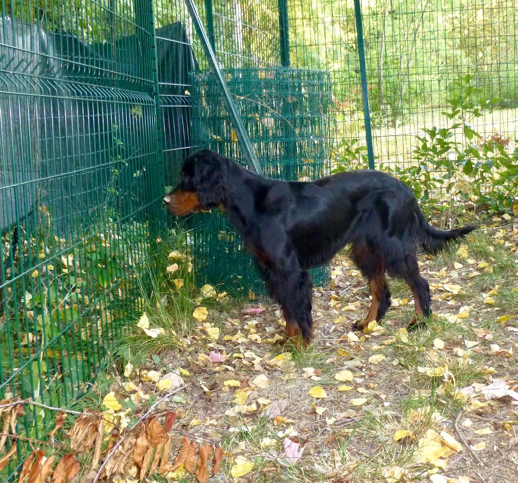 Des Pralines D'Aubejoux - Jolie Souinet cotation 2 désormais