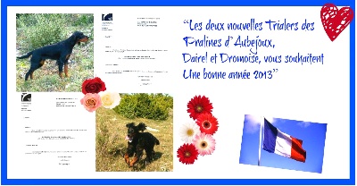 Des Pralines D'Aubejoux - Bonne Année en double : Dromoise et Dairel