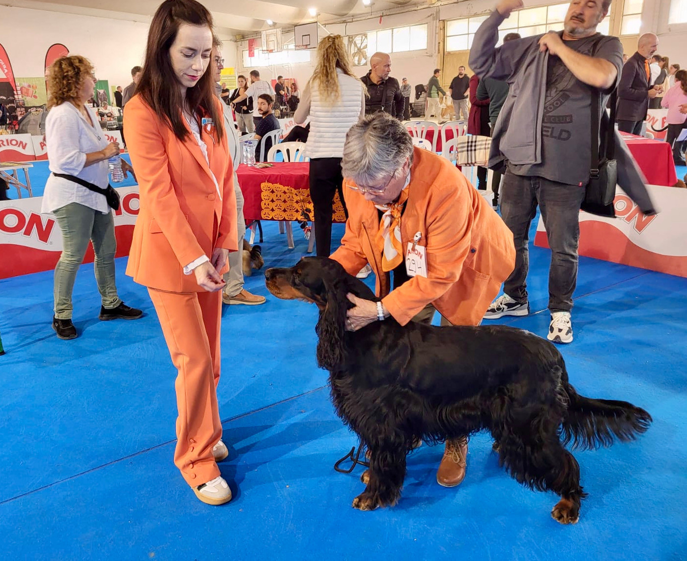 Shanna des Pralines d' Aubejoux CACS CACIB BOB à Valls, Espagne !