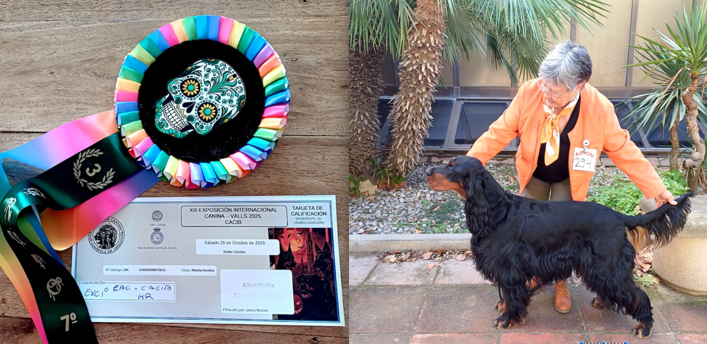 Shannah des Pralines d' Aubejoux : 3ème du podium du 7ème Groupe à Valls en Espagne