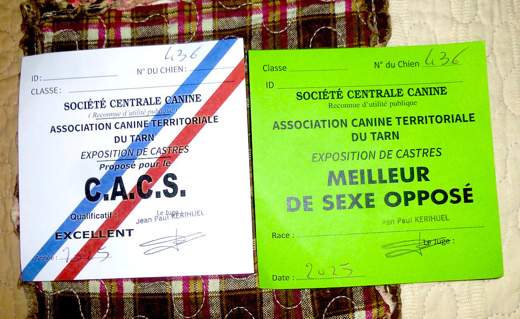 Des Pralines D'Aubejoux - Avec ce 6 ème CACS et les autres pré-requis , Souinet des Pralines d' Aubejoux