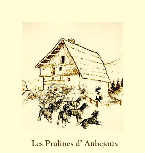 La bonne année 2026 depuis le Chalet des Pralines :