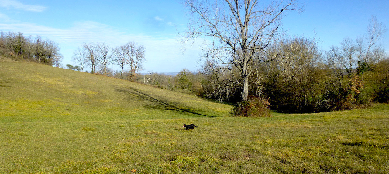 Trialer CHeN Souinet fête ses 5 ans