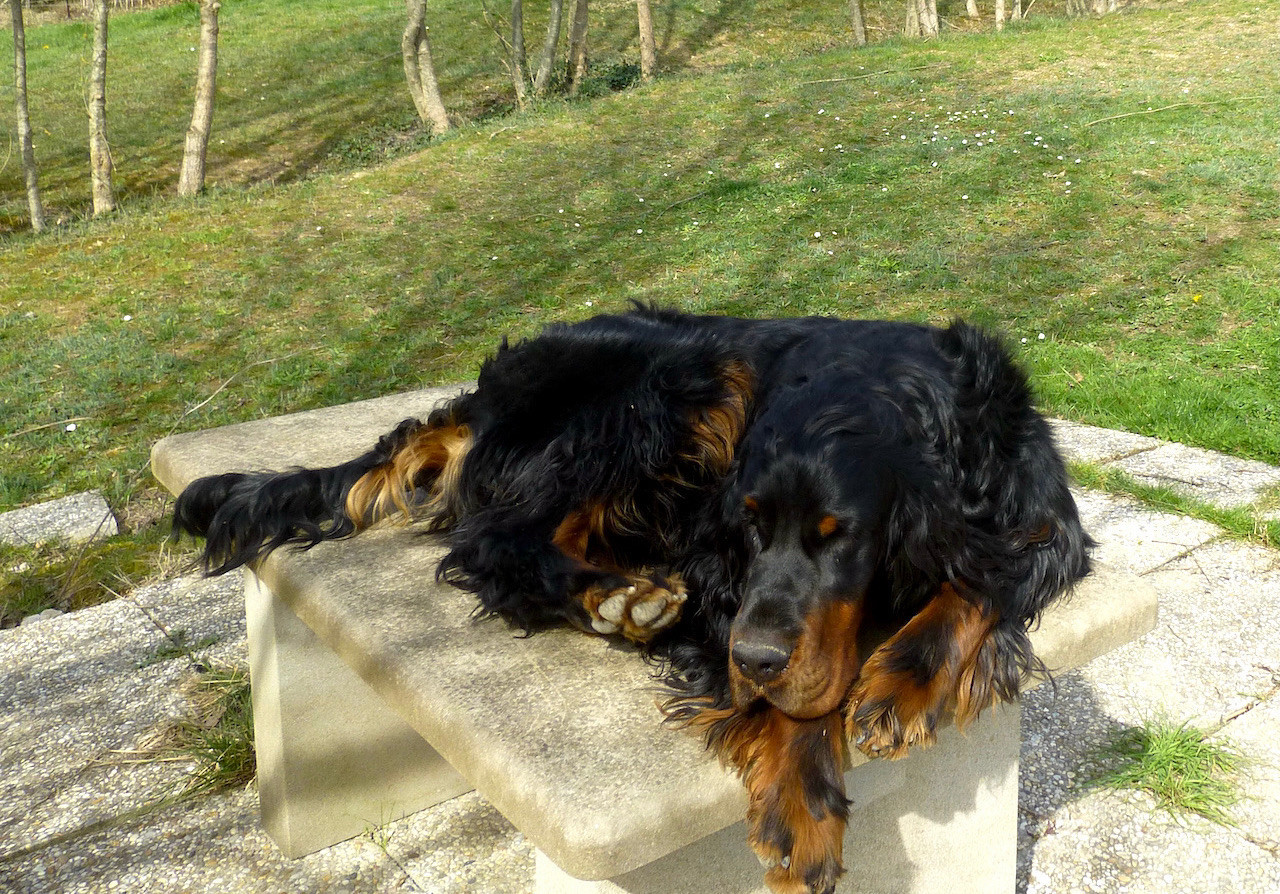 Villy des Pralines d' Aubejoux