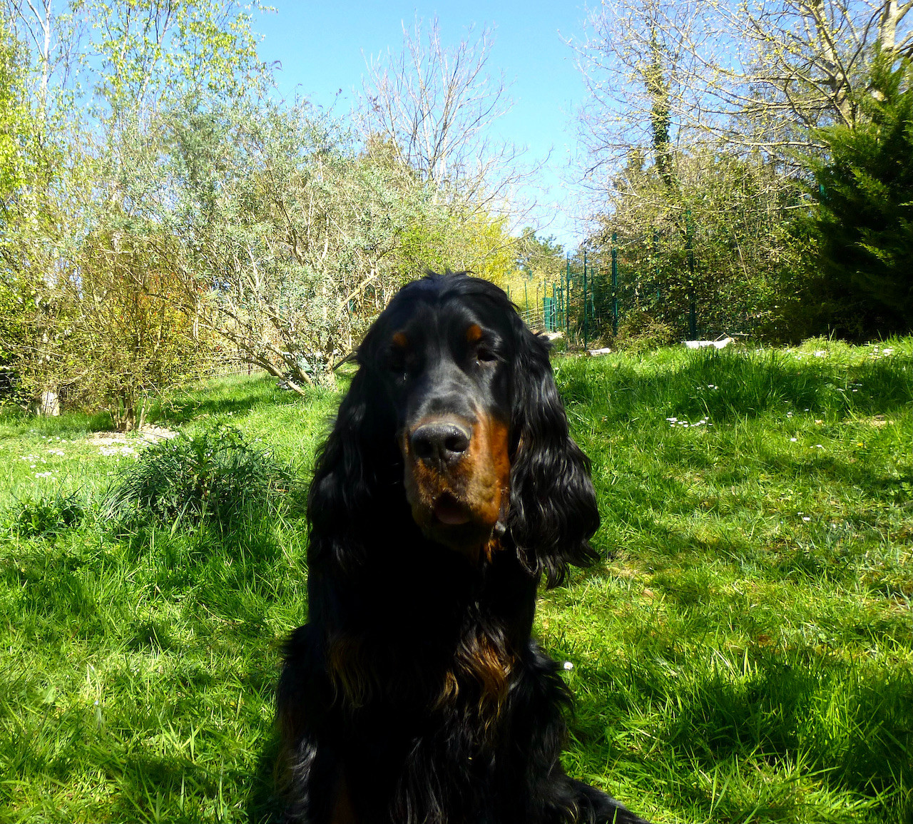 22 mois poour Villy des Pralines d' Aubejoux