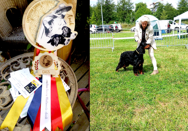 Des Pralines D'Aubejoux - Exposition canine d' Auch 17 mai 2026 Villy des Pralines d' Aubejoux : 1er CACS BOB et 2ème du Groupe 7