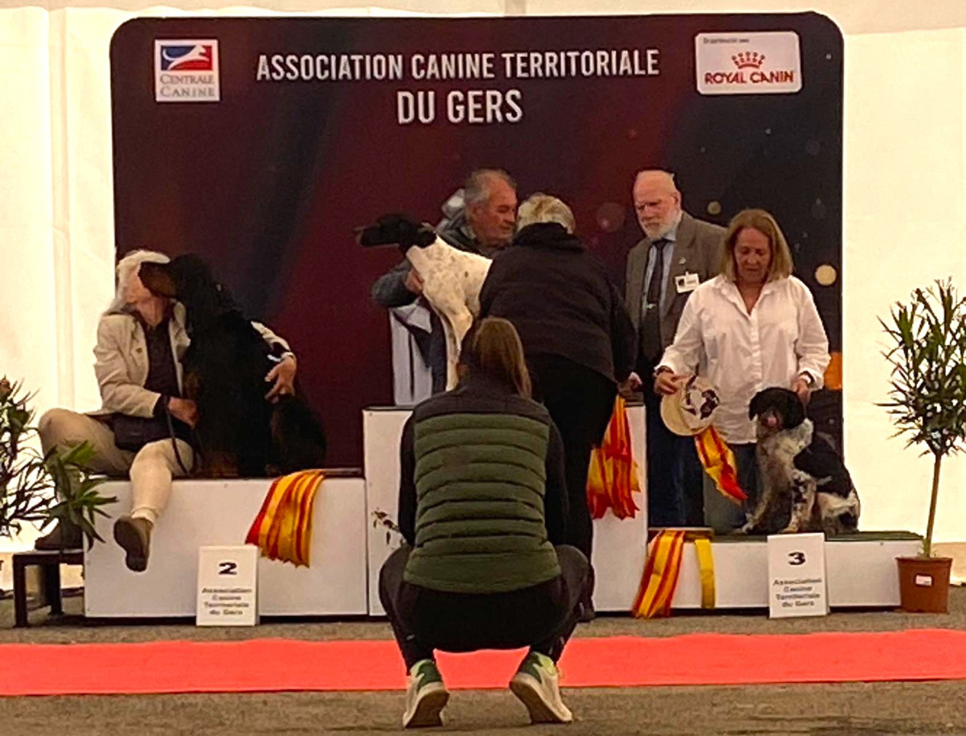 Des Pralines D'Aubejoux - Exposition nationale d' Auch , Villy se classe 1er CACS BOB et 2ème du 7 ème Groupe