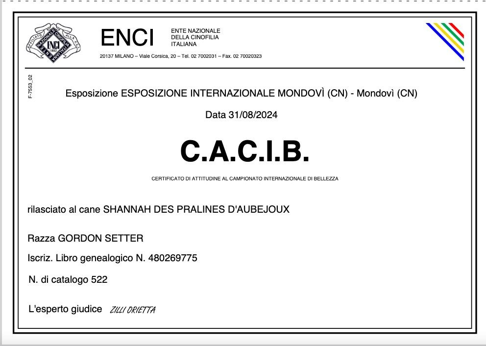 Des Pralines D'Aubejoux - Shannah en Italie à Mondovi CACS CACIB