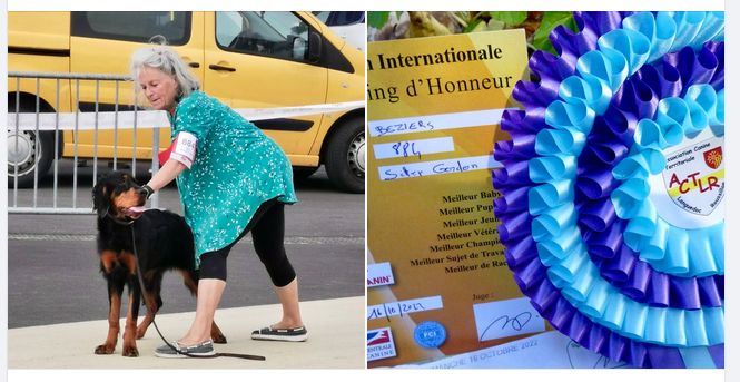 Des Pralines D'Aubejoux - La Jeune Titaye Meilleur Puppy Expo de Béziers