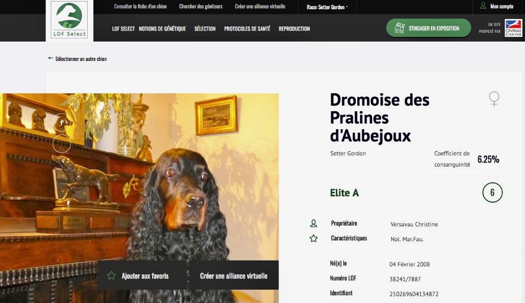 Des Pralines D'Aubejoux - Dromoise devient ELITE A Cotation 6 : rare!