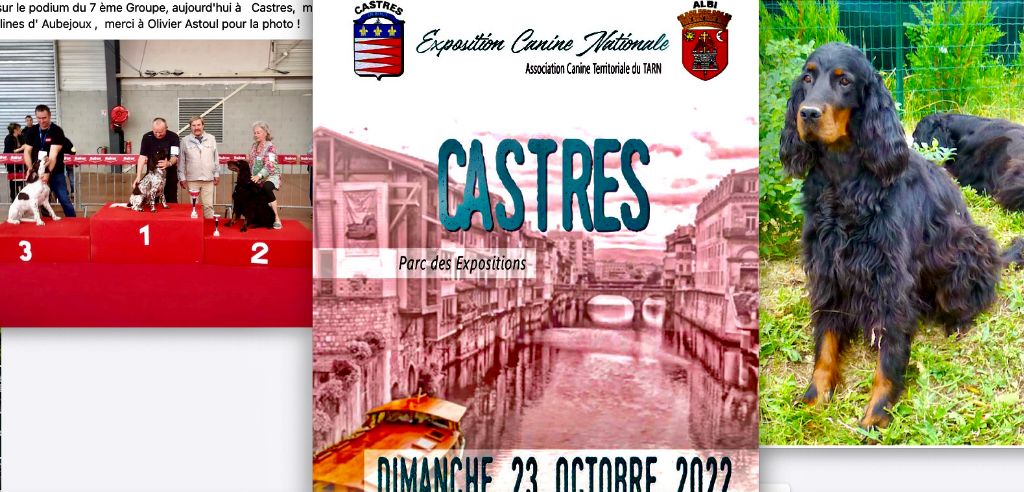 Des Pralines D'Aubejoux - Expo de Castres 2022 2ème du ring d'honneur LELLA