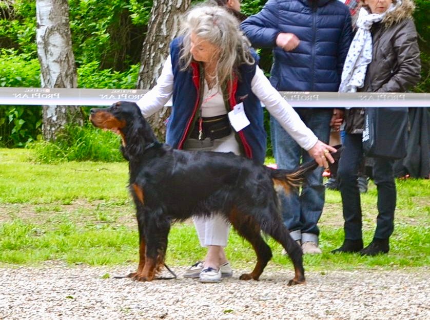 Des Pralines D'Aubejoux - Junie une championne hors pair
