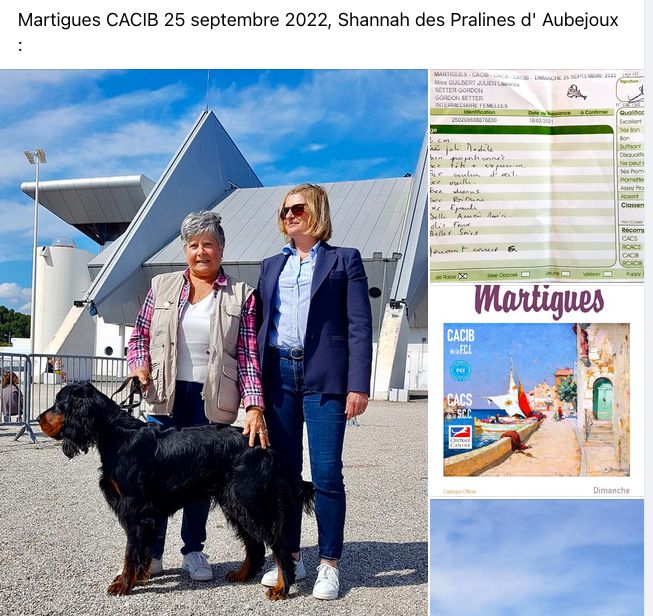 Des Pralines D'Aubejoux - Shannah Martigues CACIB BOB 25.09 avec la juge