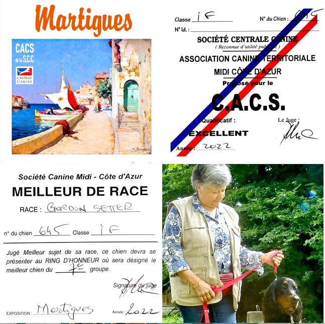 Des Pralines D'Aubejoux - Shannah CACS et BOB à l'exposition de Martigues le 24