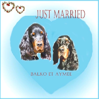 Des Pralines D'Aubejoux - portée Balko x Aymée