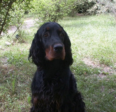 Des Pralines D'Aubejoux - Dromoise : CACs et BOB à Pierrelatte 2010