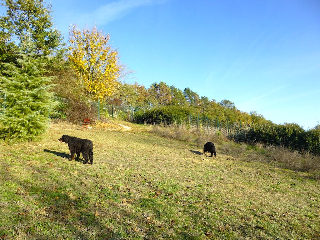 Des Pralines D'Aubejoux - Lella et Linel : douceur en automne