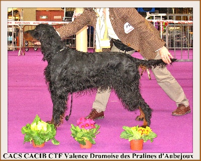 Des Pralines D'Aubejoux - CACS CACIB à Valence pour Dromoise en CTF