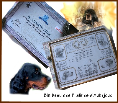 Des Pralines D'Aubejoux - Diplômes pour un Champion