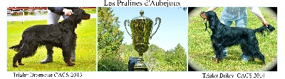 Des Pralines D'Aubejoux